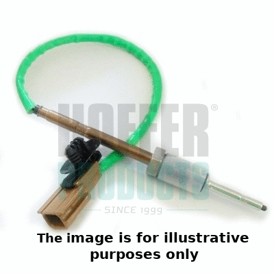 Sensor, exhaust gas temperature (7452186E)