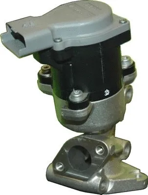 EGR Valve (7518083R)