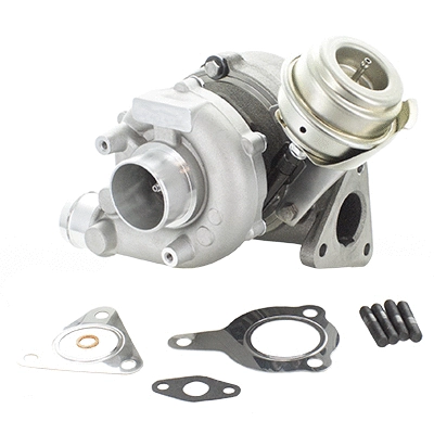 Charger, charging (supercharged/turbocharged) (6900269)