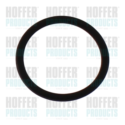 Rubber Ring (98813)