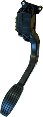 Accelerator Pedal Unit (7513503)