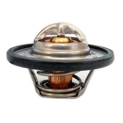Thermostat, coolant (8192471)