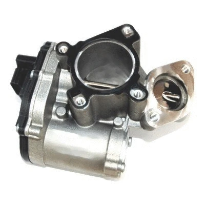 EGR Valve (7518258)