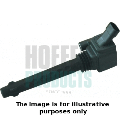 Ignition Coil (8010541/1)