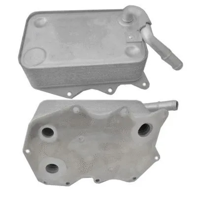 Oil Cooler, engine oil (8095124)