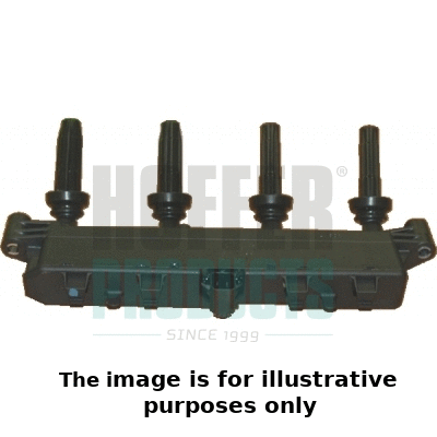 Ignition Coil (8010471E)