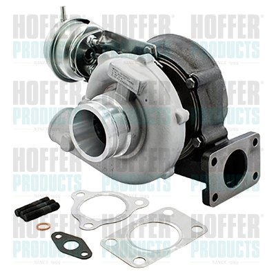 Charger, charging (supercharged/turbocharged) (6900916)