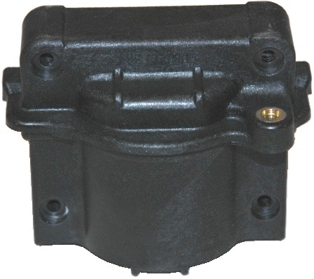 Ignition Coil (8010425)