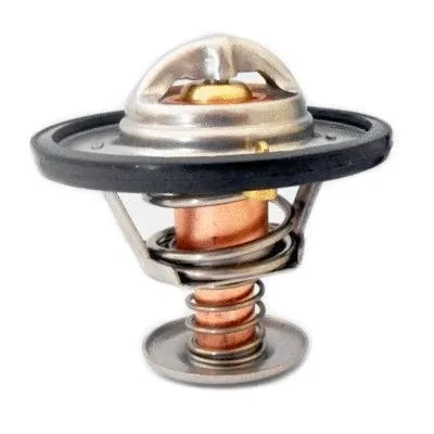 Thermostat, coolant (8192120)