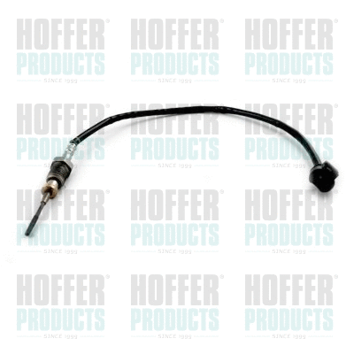 Sensor, exhaust gas temperature (7452417)