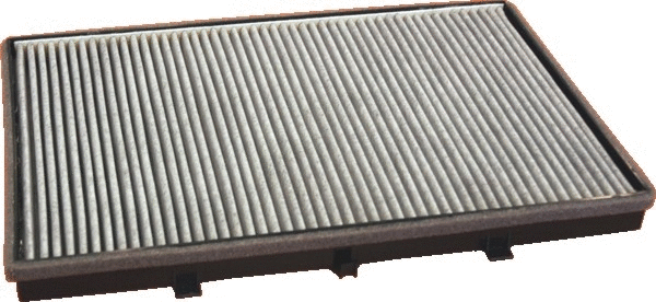 Filter, cabin air (17173FK)