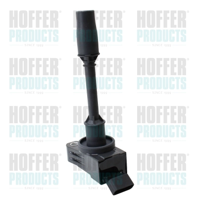 Ignition Coil (8010890)