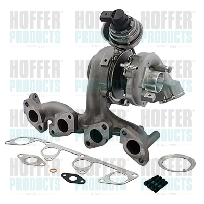 Charger, charging (supercharged/turbocharged) (6900046)