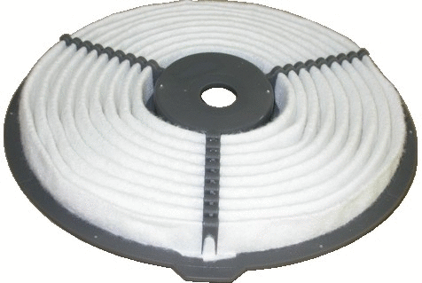 Air Filter (16220)