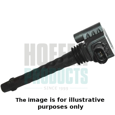 Ignition Coil (8010687E)