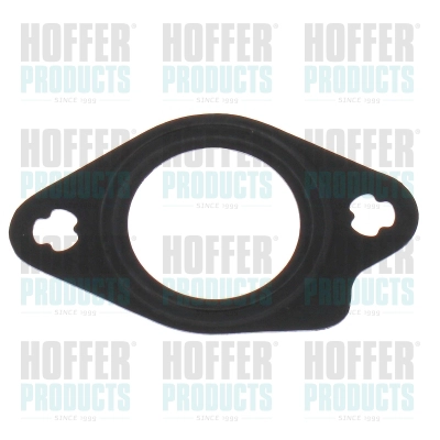 Gasket, EGR valve pipe (016195)