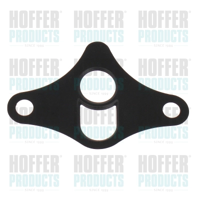 Gasket, EGR valve (016191)