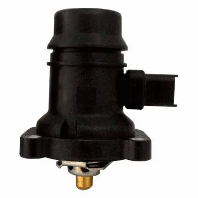 Thermostat, coolant (8192841)