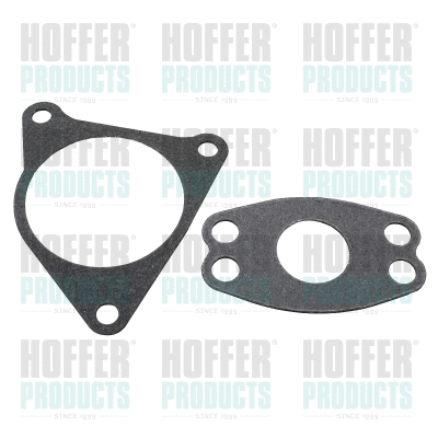 Gasket, EGR valve (016138)