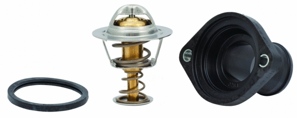 Thermostat, coolant (8192346)