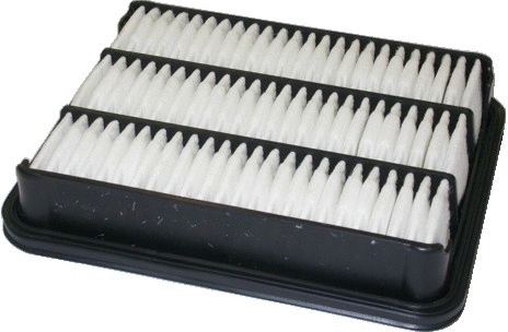 Air Filter (16009)