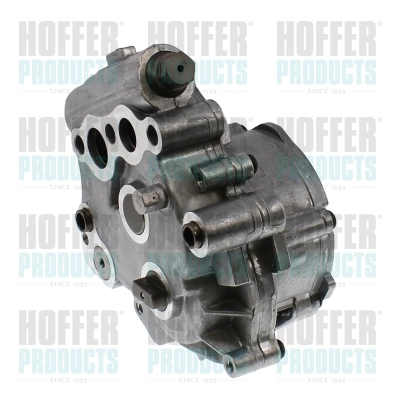 Vacuum Pump, braking system (8091253)