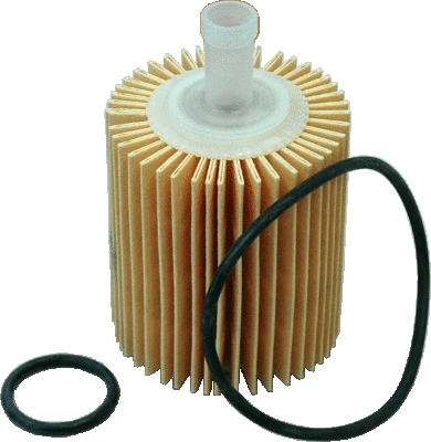 Oil Filter (14111)