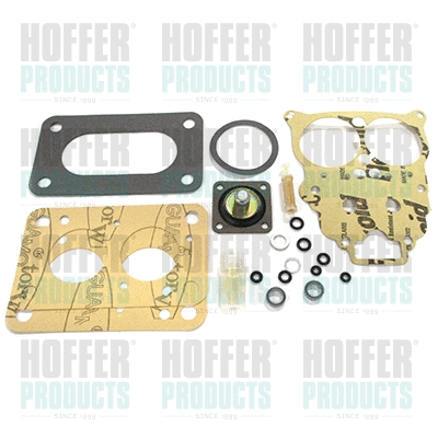 Repair Kit, carburettor (W497)