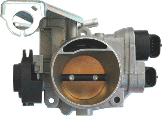 Throttle Body (7519044)
