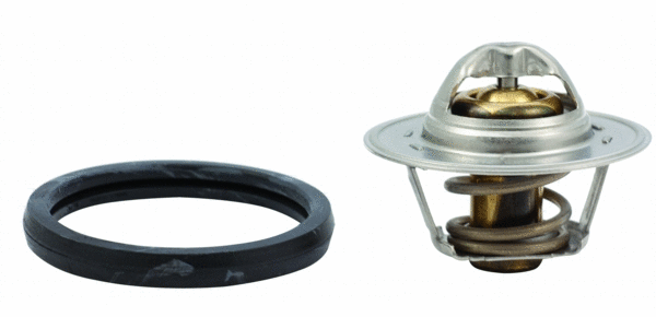 Thermostat, coolant (8192235)