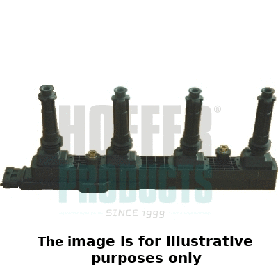 Ignition Coil (8010469E)