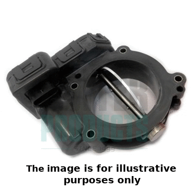 Throttle Body (7519208R)