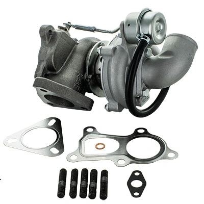 Charger, charging (supercharged/turbocharged) (6900187)