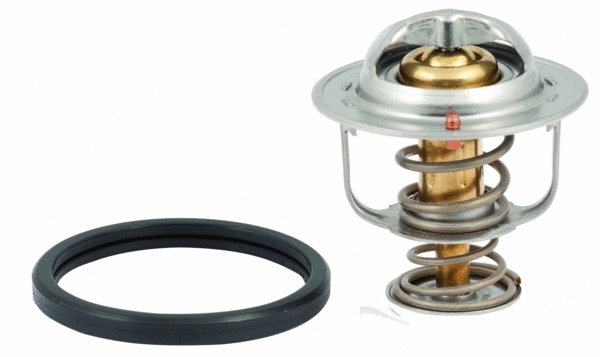Thermostat, coolant (8192625)