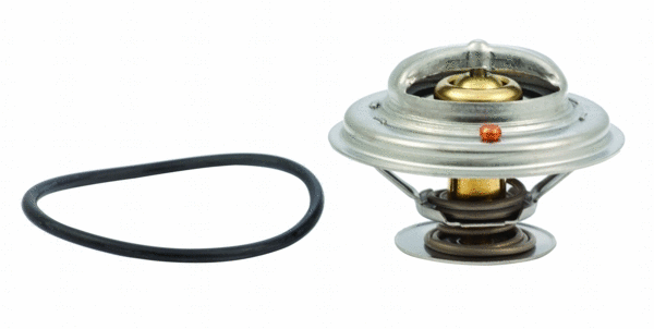 Thermostat, coolant (8192173)