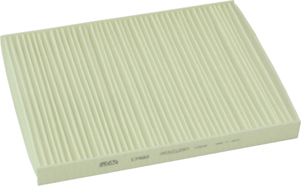Filter, cabin air (17492)