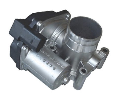 Throttle Body (7519051)