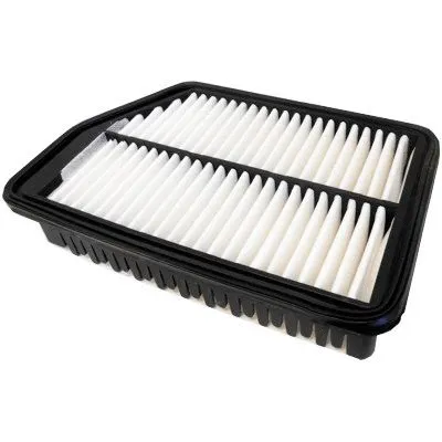Air Filter (18407)