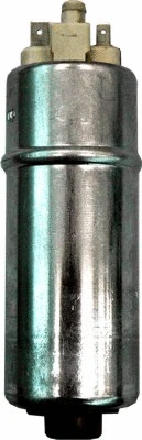Fuel Pump (7507283)