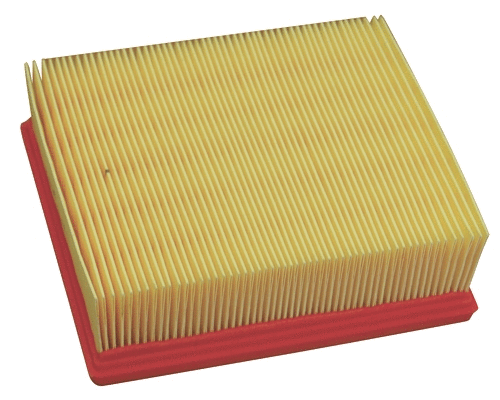 Air Filter (18358)