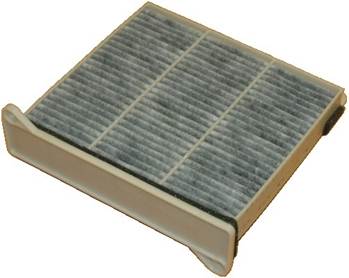 Filter, cabin air (17361FK)