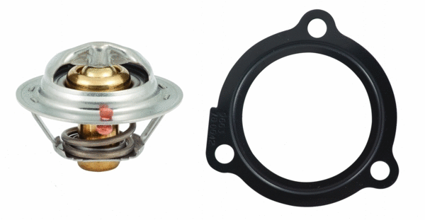 Thermostat, coolant (8192527)