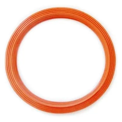 Seal, fuel tank cap (GSK09)