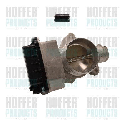 Throttle Body (7519146E)