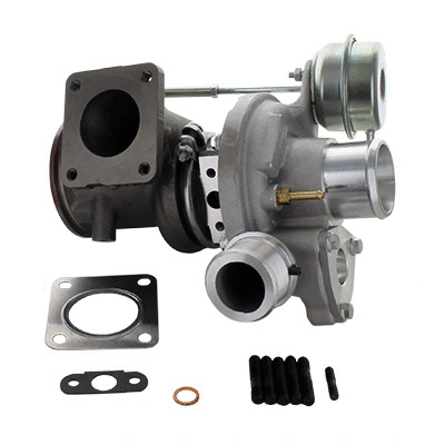 Charger, charging (supercharged/turbocharged) (6900248)