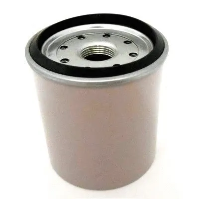 Fuel Filter (4120)