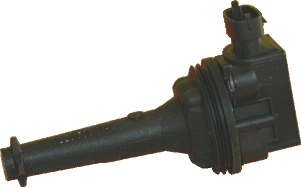 Ignition Coil (8010482)