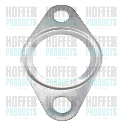 Gasket, EGR valve (01624)