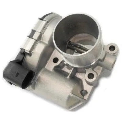 Throttle Body (7519195)