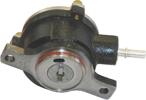 Vacuum Pump, braking system (8091092)